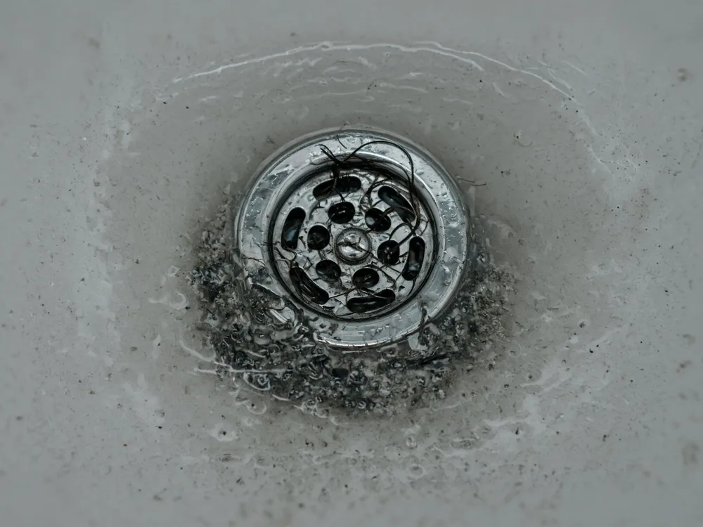 Bathtub drain clogged with hair and soap scum, water standing in the tub